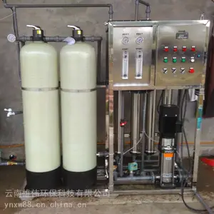 12吨/时 RO反渗透纯水设备 商用净水器去离子水设备