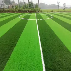 �˹��̻��ٲ�Ƥ���������˶����ڸ�װ��������ֲ����ٲ�ƺ�ص�