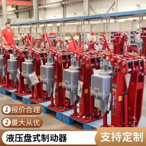大工力电力液压盘式制动器YPZ2-V-630II/e80.MSK1钳盘制动器刹车片