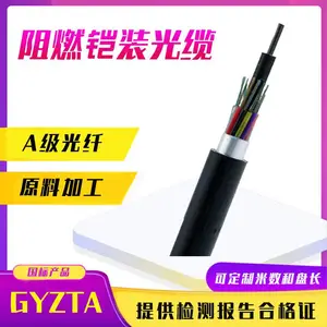 GYTZA-12B1单模光纤室外4/8/24/36/48/96芯油田隧道铠装阻燃光缆