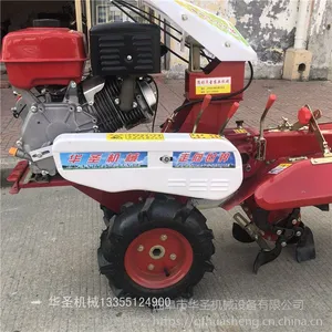 ��ݮ����¢������ ���˰ײ���ֲ��������ʥ����