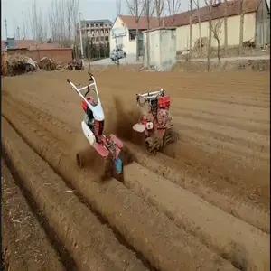 �ַ�����������Ч����ô�� չ����԰����������Ǯ