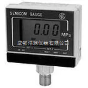 数字精密压力表 GC74-13315BXX000XXX0