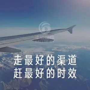 国际快递 跨境物流DHL FEDEX UPS 空海国际专线 双清包税 FBA头程物流实力派