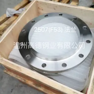 超级双相钢2507、F53材质法兰
