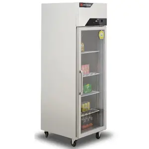 金松单大门陈列柜GB0.4L1U 商用单门保鲜柜 直冷冷藏展示柜 饮料柜