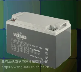 WING蓄电池（德国）价格及性能测量