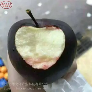 ƻ��������������ƻ������Ӧ�̡�2����ƻ������