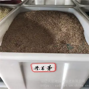 �����²ɲ�ƺ���� ����é���� ��ѿ*** �۸���� ***