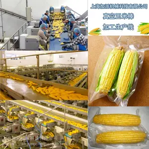 甜玉米罐头加工生产线 真空玉米棒加工生产线 玉米汁饮料产线