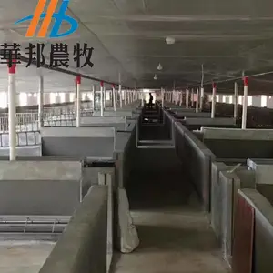 山东华邦供应养猪场自动上料控料喂猪?料线?养猪?自动化设备料线