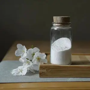 Ƭ״������/ Ƭ״������΢��/ Ƭ״����������/ Ƭ״��������ĥ΢��
