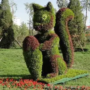 �����̵� ��ͨ���� �ߺ�������ֲ ���������̵�