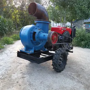 ������12���ˮ�� ˮ�����̿��鿹���� �ӵ�����10���ϳ����