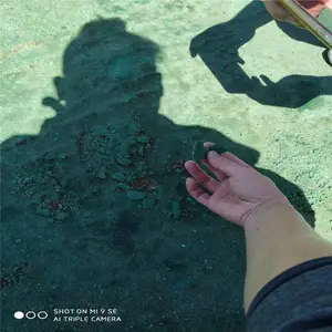 ����Һ���ֳ��� ���� ��·�����ֳ��� ��������