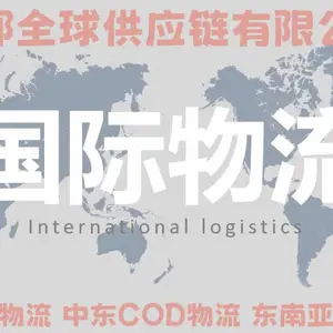 国内直发东欧西欧COD小包物流 海外仓一件代发 海外仓储配送到门