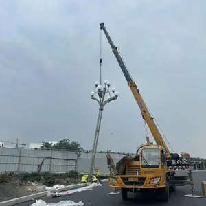 12米景观灯定制 藏式城市道路灯 仿古中华灯 玉兰灯 四叶银杏灯