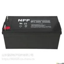 NPP耐普NP200-12 12V200AH 直流屏UPS/EPS电源 铅酸免维护蓄电池
