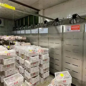 ���Ƶ��¸�ʪ�ⶳ�� ��������ɫ�����ʽⶳ�� ��ţ���⼦Ѽ����Ʒ�������ⶳ�豸