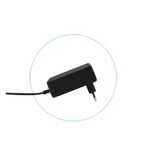 12V2A欧规脱毛仪电源适配器 CE认证 62368标准 六级能效