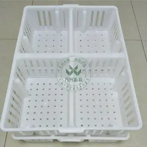 С�������ͼƬ ������ת�� С����������