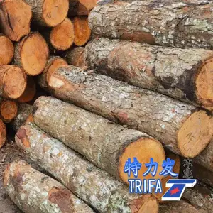 ������ľҵ��Ӧӡ�Ῠ�ŗ�ָ�Ӱ���������Ʒ�ƿ��ŗ�