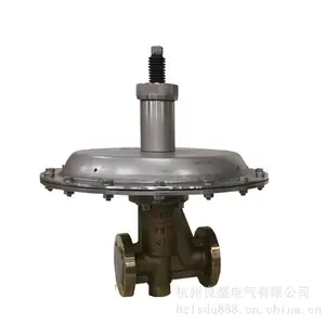 ZZYVPF-16B�ķ����ⷧ