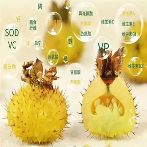 �޻����� ���� ��ͷԭ�� ֧������ ˹ŵ���������﹤��