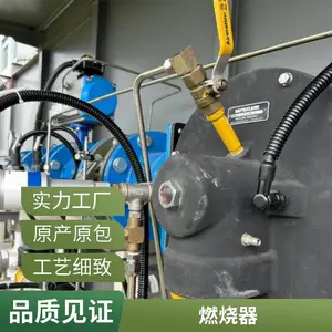 岱鼎燃烧 热镀锌焦炉煤气高炉煤气燃烧器天然气燃烧机源头厂家