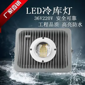 超亮50w大功率冷冻库耐低温防爆吊灯大型物流高库led灯防水投光灯
