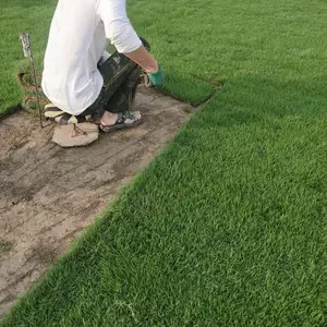 �����������ݾ��۸��Ƕ��٣�