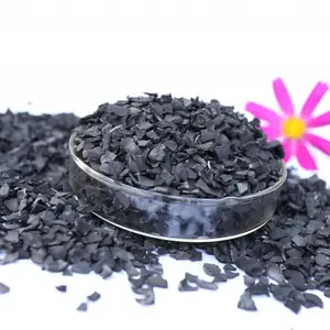 立净 果壳净水炭 净水处理 除异味 除有害物质