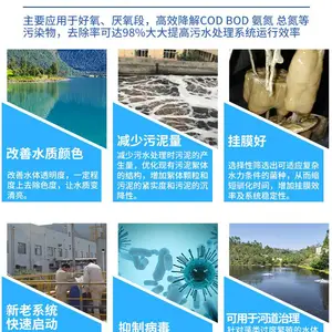 水中氨氮过高 硝化菌种该如何投加使用 豫佰润净水专业讲解