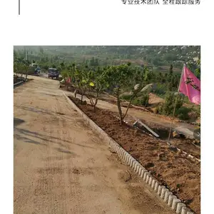 �����������ŷ���׮ �̻���·��ʯ׮ �����������⾰�۷�ľ׮