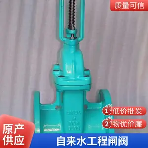 DN100 弹性座封闸阀 软密封闸阀 法兰连接 球墨铸铁 市政供水 厂家直供 支持定制