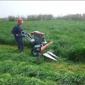 «έ������ǰ�ø�˻� ����С���ַ���ɹ��