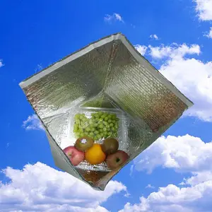 ����һ���ԼӺ��������´������䶳ѩ��ʳƷˮ�����⺣�ʱ������