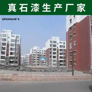 珠海蓝翠鸟真石漆厂 承接横琴办公楼外墙真石漆水包砂 质感漆报价