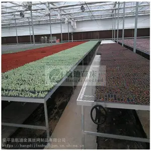 ���������ƶ��紲 �ȶ�п����������������������