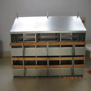 ��Ӧ��������24Ѩ������