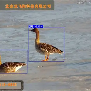 鸟类监测AI智能识别系统软件平台