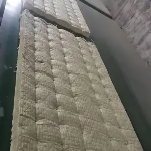 ������˿��ձ