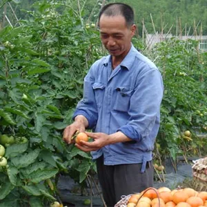 东莞蔬菜批发市场,黄江蔬菜配送公司【东莞一站式送菜服务】