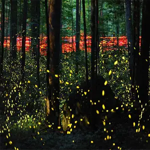 地插式户外萤火虫灯 河南郑州订购500个价格优惠 包邮