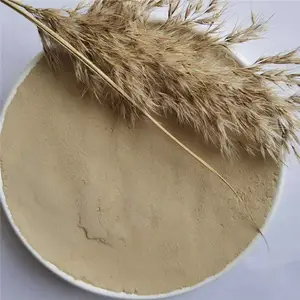 ��ŵ���������꾮�ཬ���ƻ���������Ϳ�������øƻ�������