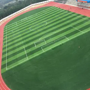 �ٳ�������������ܵ��ܽ��˶���ʩ���𽺲�ɫ���ⳡ��PU����
