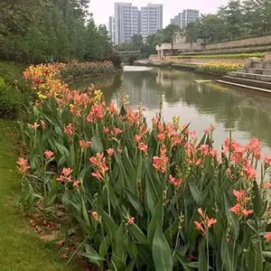 ���� ˮ�����˽����� ˮ�����˽����ع�Ӧ ˮ�����˽���ֲʩ��