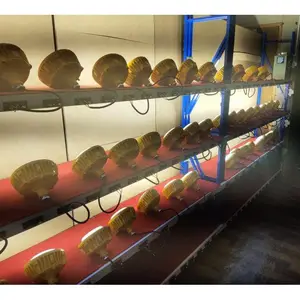 LED������ ��Ϊ���� ���������� ���������� ���ɶ���