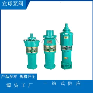 QY40-58/2-11 农业灌溉 工业排水 QY型充油式潜水电泵