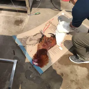 ��������̳� ���μ����̳� �������̳� �ͺŶ���֧�ֶ���